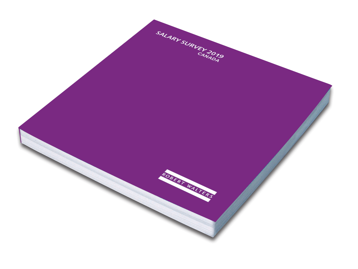 The 2019 Salary survey The 2019 Salary survey